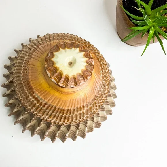 VINTAGE Shell-Inspired Stone Vase with Lid | Coastal Sculptural Décor - Picture 3 of 7